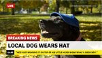 DA15E2B9-F072-4715-BC0C-A876E2C8EFCF.jpeg