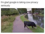 40A923F1-D36C-484E-A8C9-0F43006E8216.jpeg