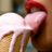 Candy Cream